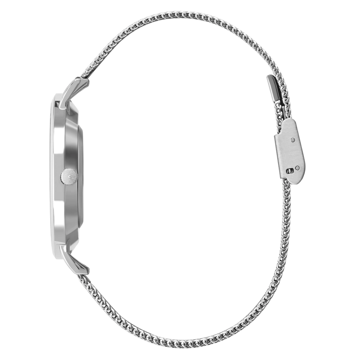 Petite Silvermist